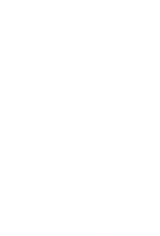 Logo KRD 12 years